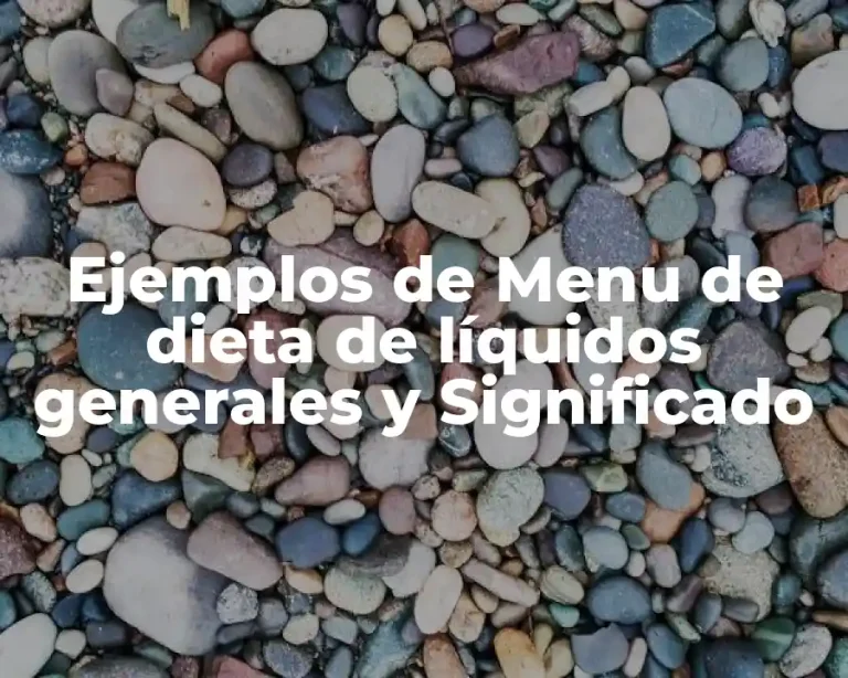 Ejemplos de Menu de dieta de líquidos generales y Significado