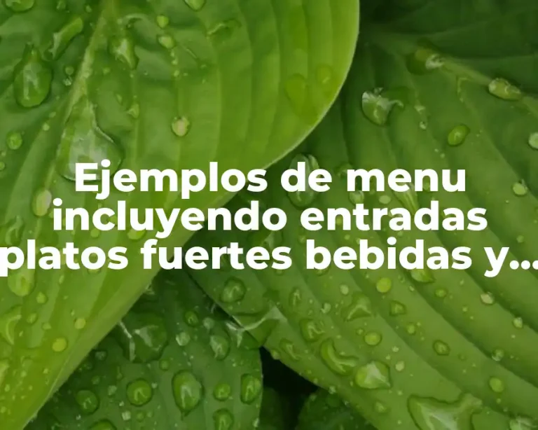 Ejemplos de menu incluyendo entradas platos fuertes bebidas y postres