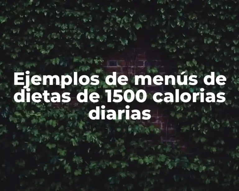 Ejemplos de menús de dietas de 1500 calorias diarias