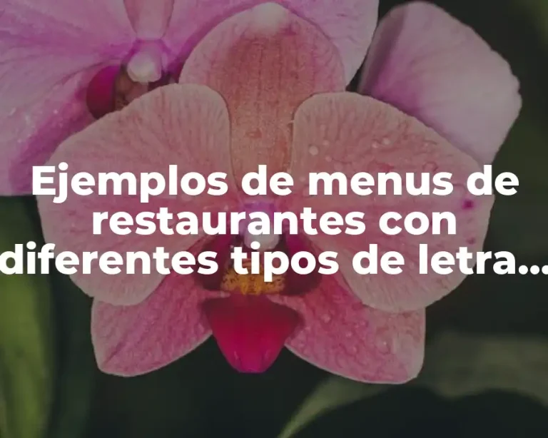 Ejemplos de menus de restaurantes con diferentes tipos de letra y Significado