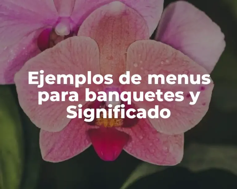 Ejemplos de menus para banquetes y Significado