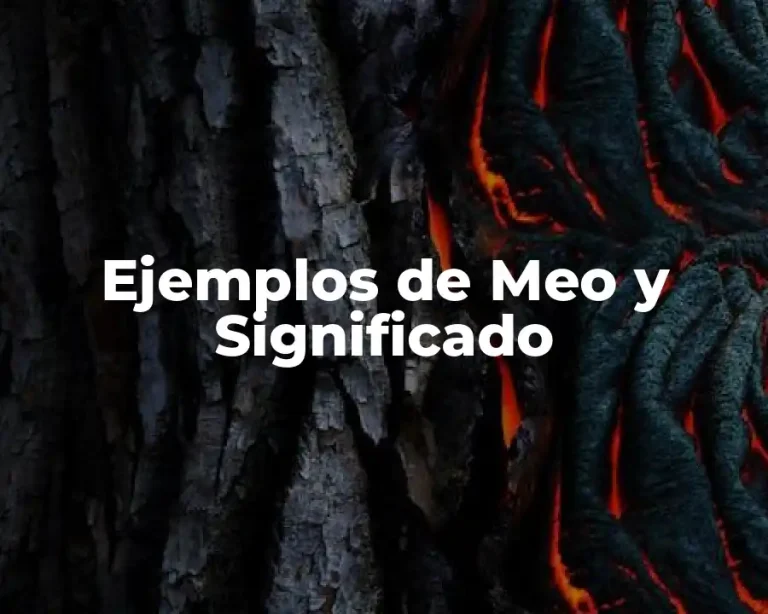 Ejemplos de Meo y Significado