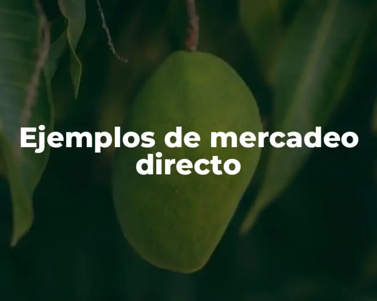 Ejemplos de mercadeo directo