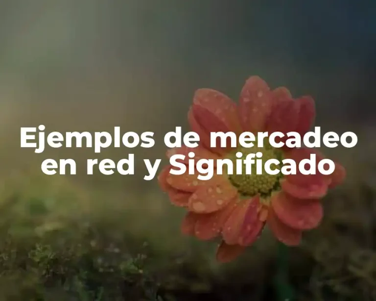 Ejemplos de mercadeo en red y Significado