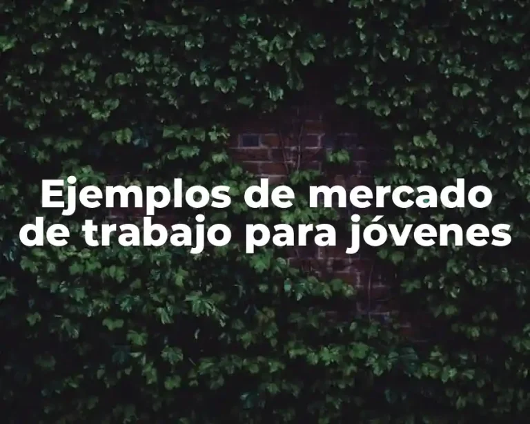 Ejemplos de mercado de trabajo para jóvenes