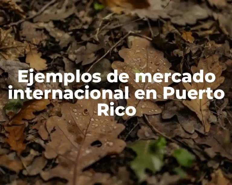 Ejemplos de mercado internacional en Puerto Rico