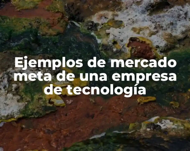 Ejemplos de mercado meta de una empresa de tecnología