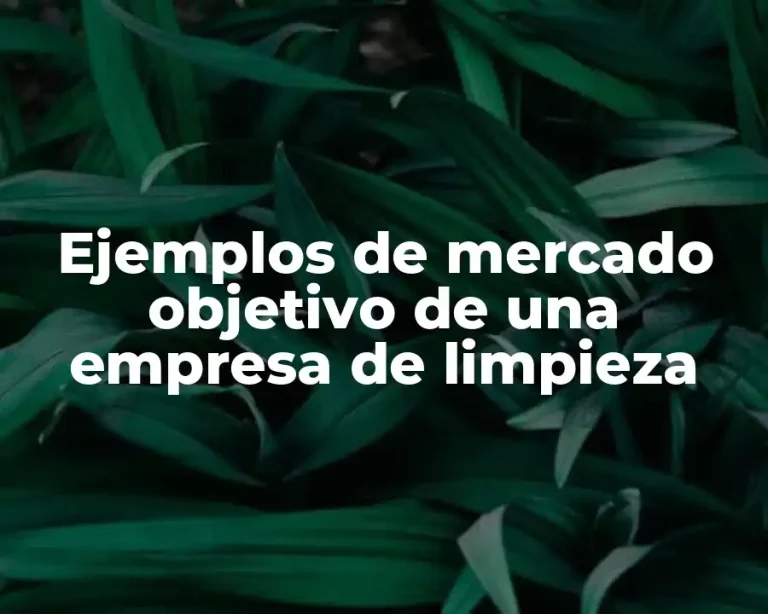 Ejemplos de mercado objetivo de una empresa de limpieza