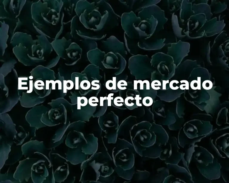 Ejemplos de mercado perfecto