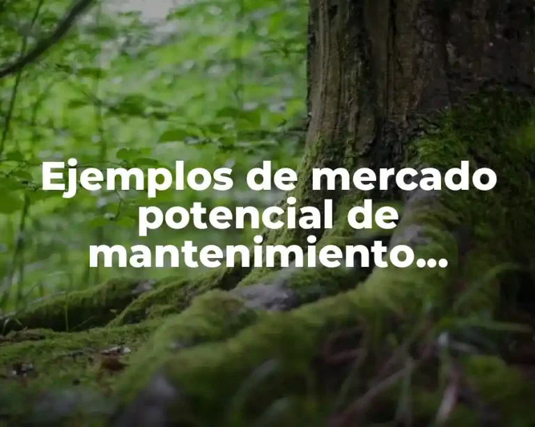 Ejemplos de mercado potencial de mantenimiento preventivo y correctivo