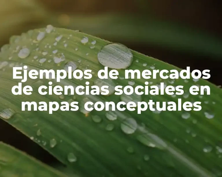 Ejemplos de mercados de ciencias sociales en mapas conceptuales