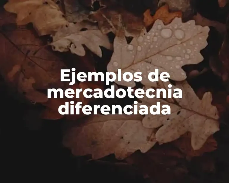 Ejemplos de mercadotecnia diferenciada