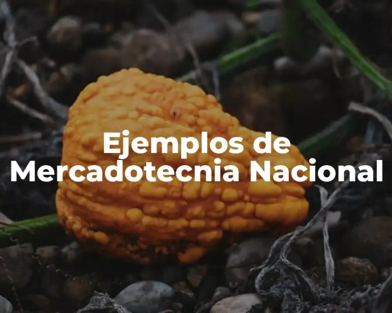 Ejemplos de Mercadotecnia Nacional