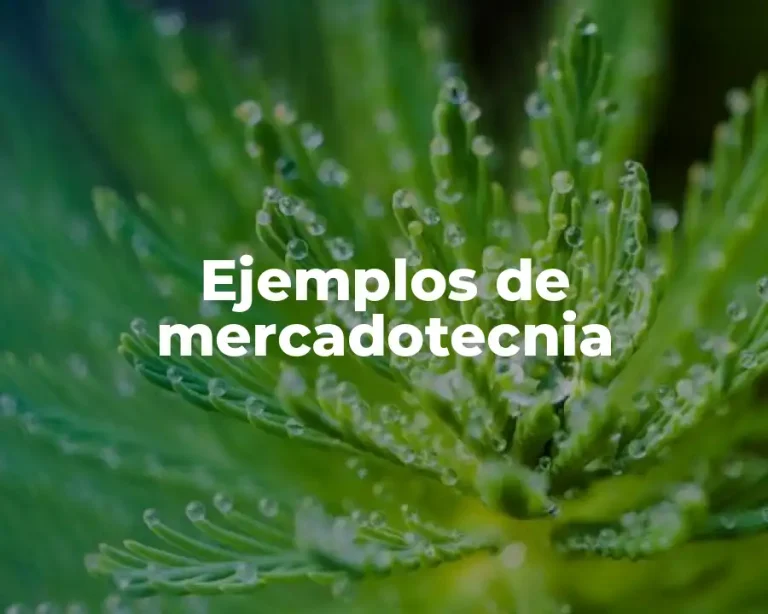 Ejemplos de mercadotecnia