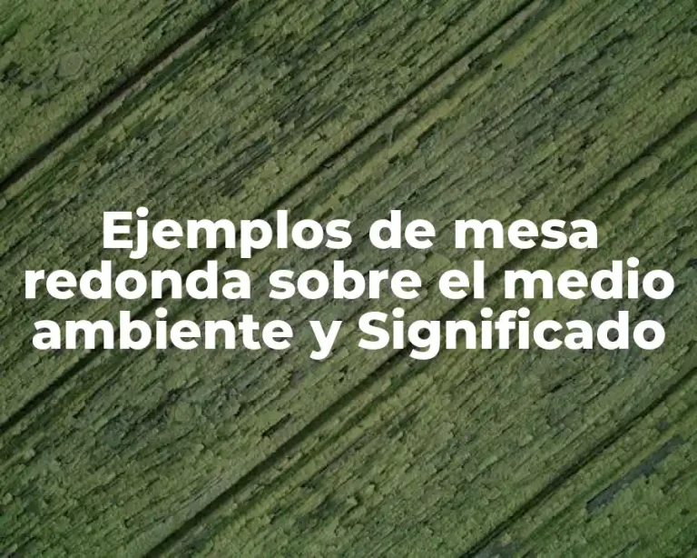 Ejemplos de mesa redonda sobre el medio ambiente y Significado