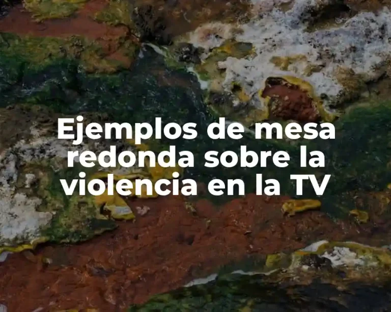 Ejemplos de mesa redonda sobre la violencia en la TV