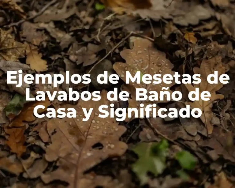 Ejemplos de Mesetas de Lavabos de Baño de Casa y Significado