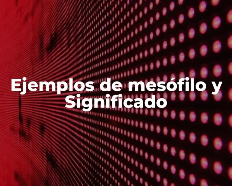 Ejemplos de mesófilo y Significado