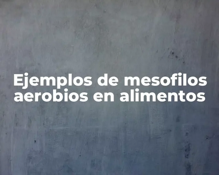 Ejemplos de mesofilos aerobios en alimentos
