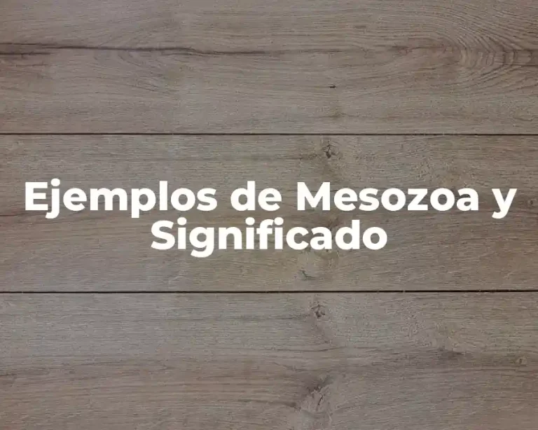 Ejemplos de Mesozoa y Significado