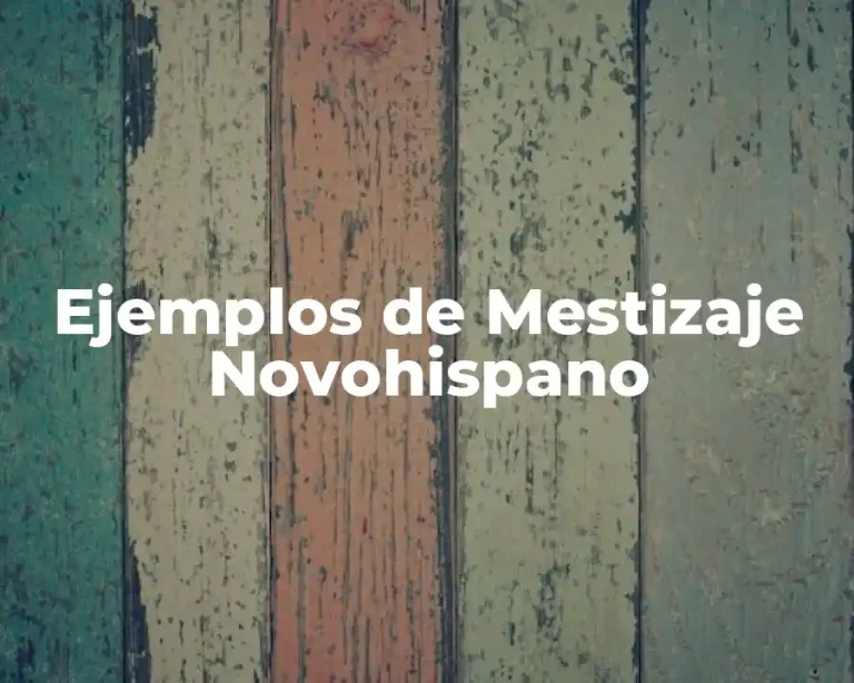 Ejemplos de Mestizaje Novohispano