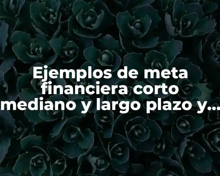 Ejemplos de meta financiera corto mediano y largo plazo y Significado