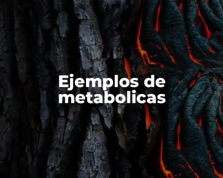 Ejemplos de metabolicas