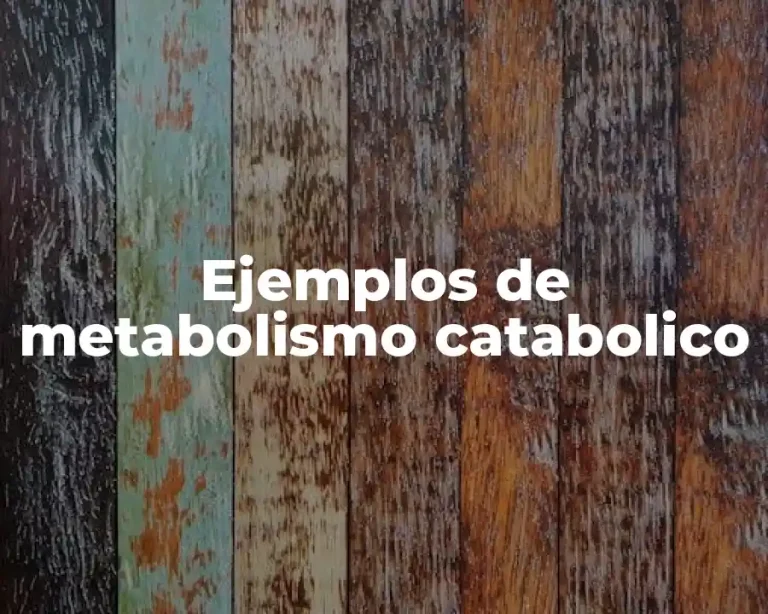 Ejemplos de metabolismo catabolico