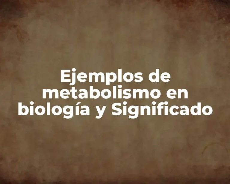 Ejemplos de metabolismo en biología y Significado