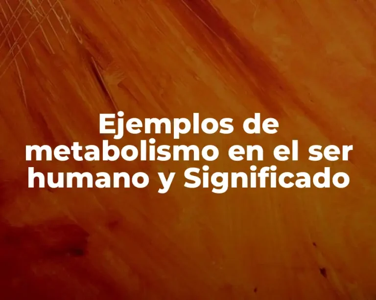 Ejemplos de metabolismo en el ser humano y Significado