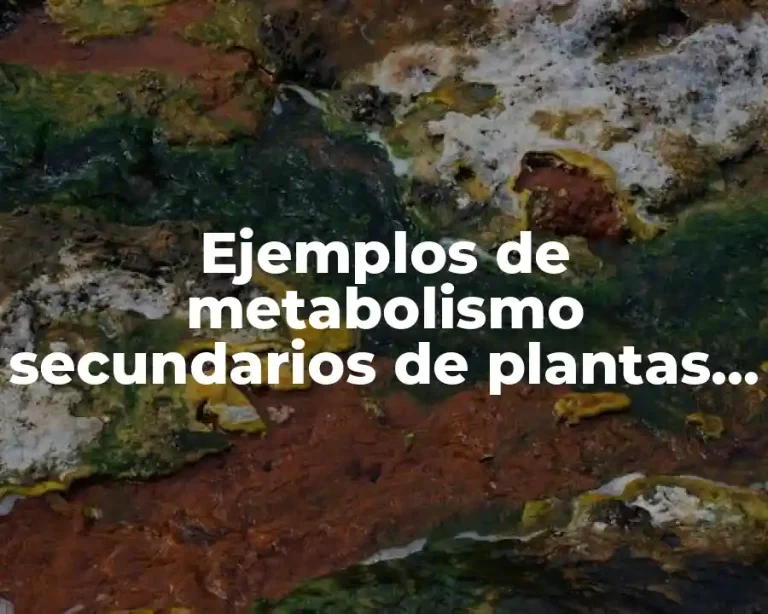Ejemplos de metabolismo secundarios de plantas en zonas áridas