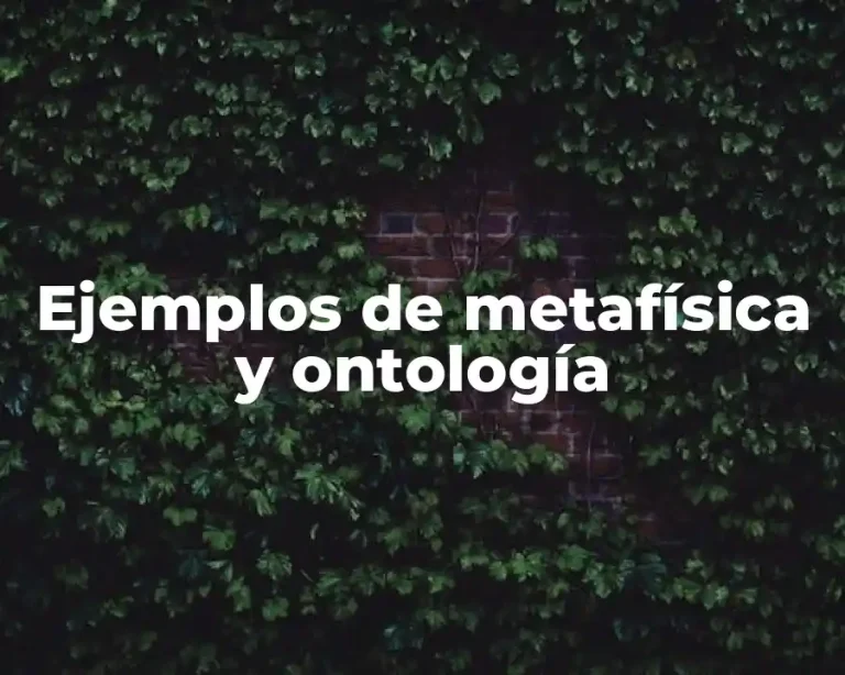 Ejemplos de metafísica y ontología