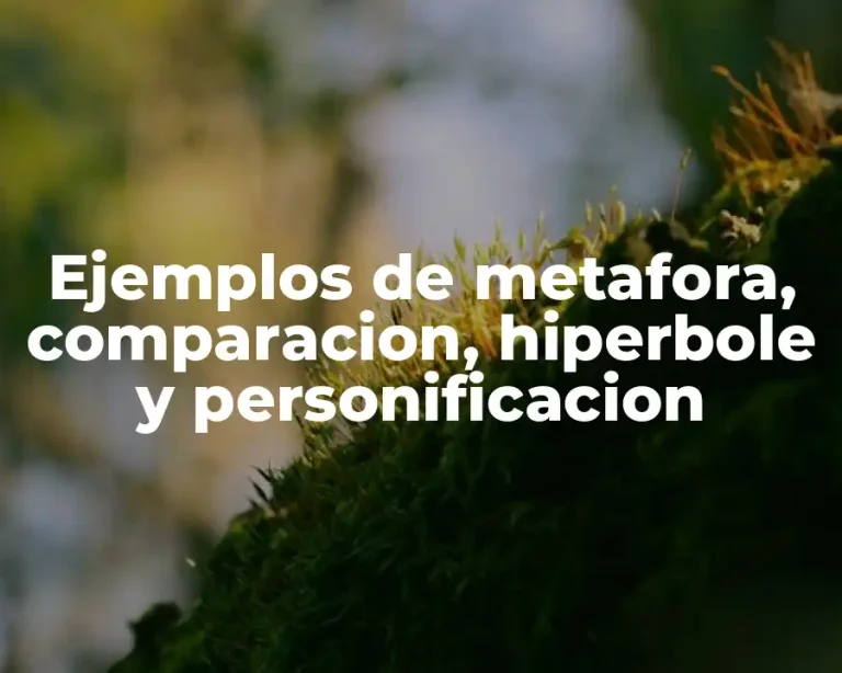 Ejemplos de metafora, comparacion, hiperbole y personificacion