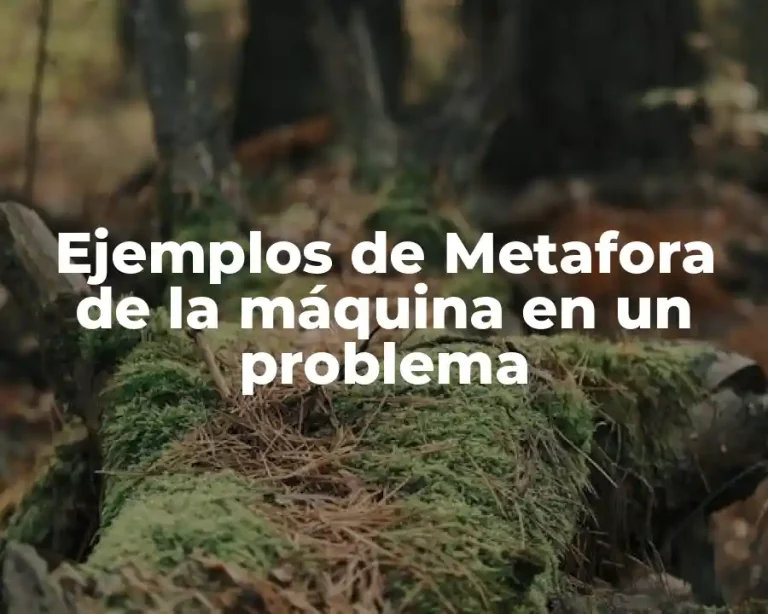 Ejemplos de Metafora de la máquina en un problema