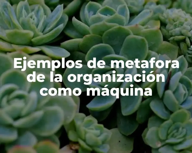 Ejemplos de metafora de la organización como máquina