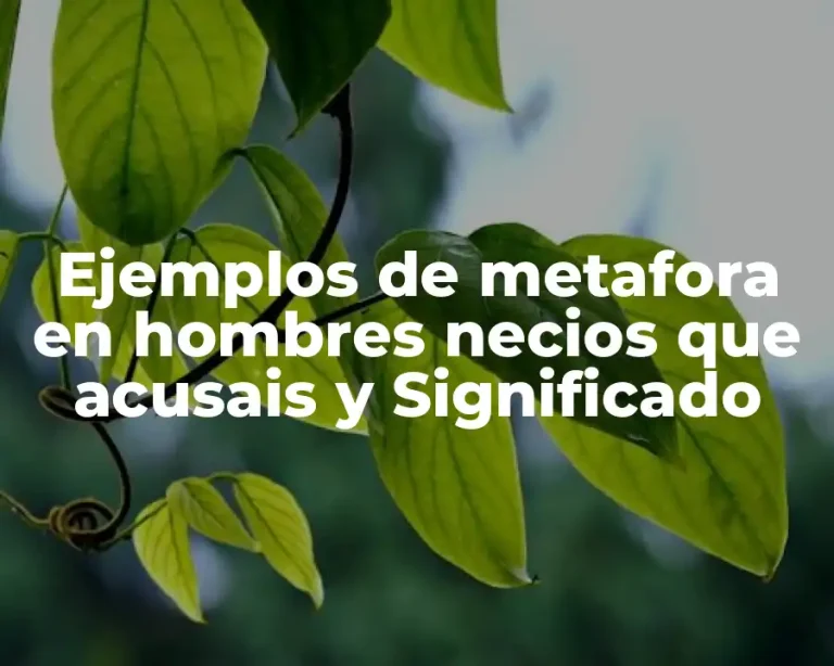 Ejemplos de metafora en hombres necios que acusais y Significado