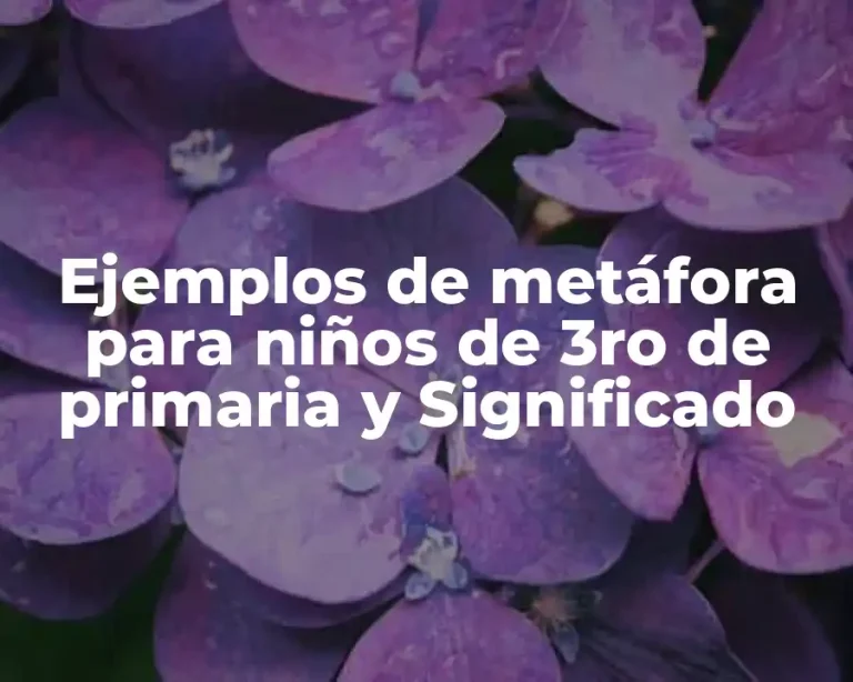 Ejemplos de metáfora para niños de 3ro de primaria y Significado