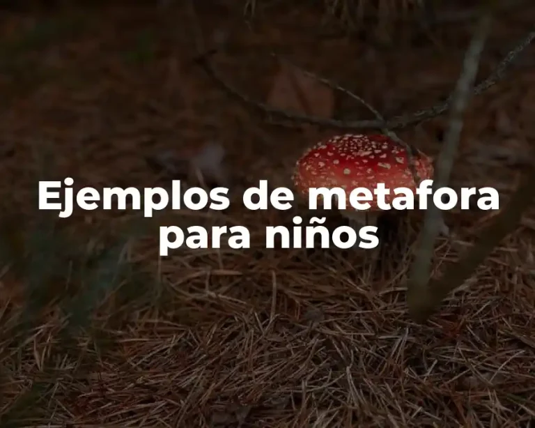 Ejemplos de metafora para niños