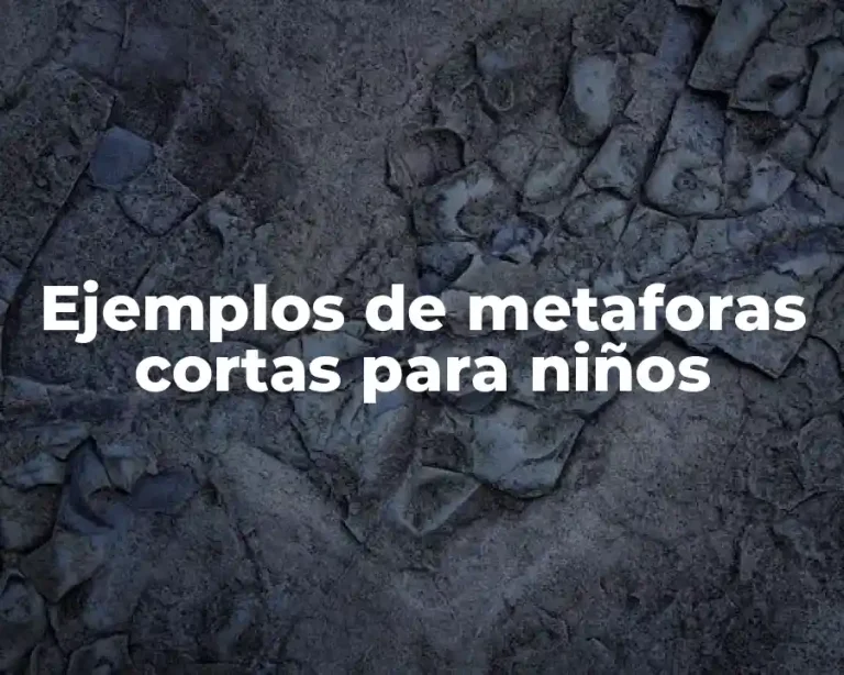 Ejemplos de metaforas cortas para niños
