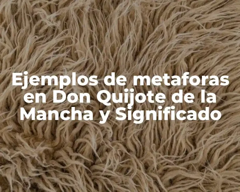 Ejemplos de metaforas en Don Quijote de la Mancha y Significado