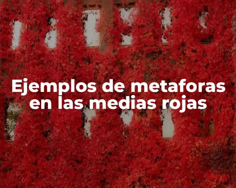 Ejemplos de metaforas en las medias rojas