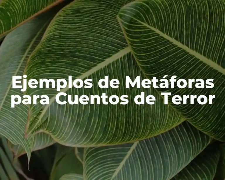 Ejemplos de Metáforas para Cuentos de Terror