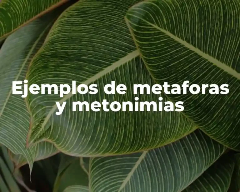 Ejemplos de metaforas y metonimias