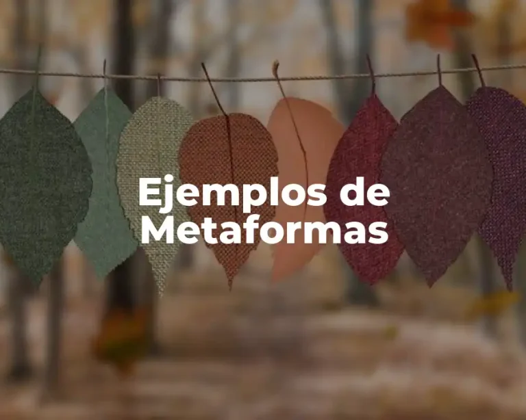 Ejemplos de Metaformas