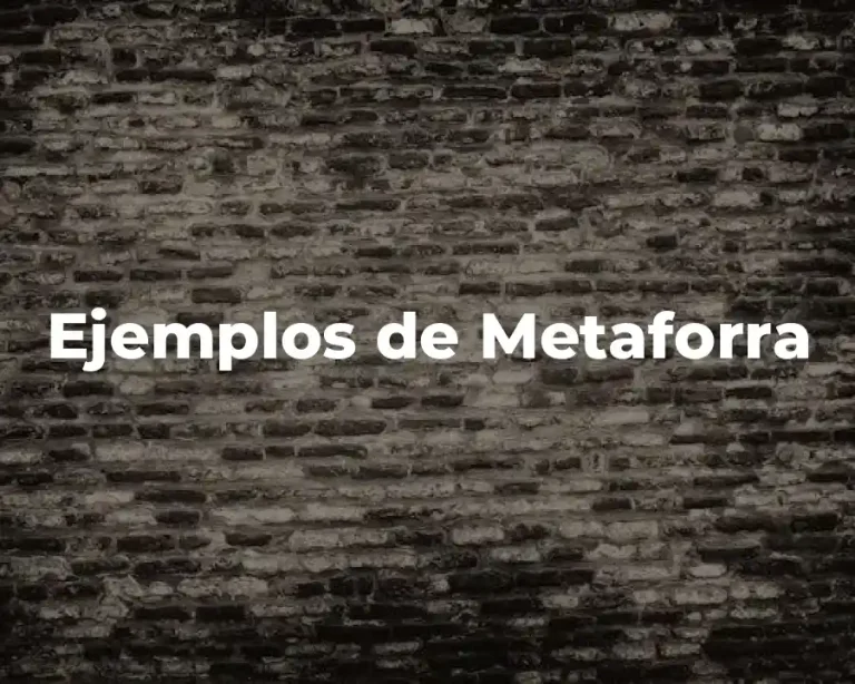 Ejemplos de Metaforra