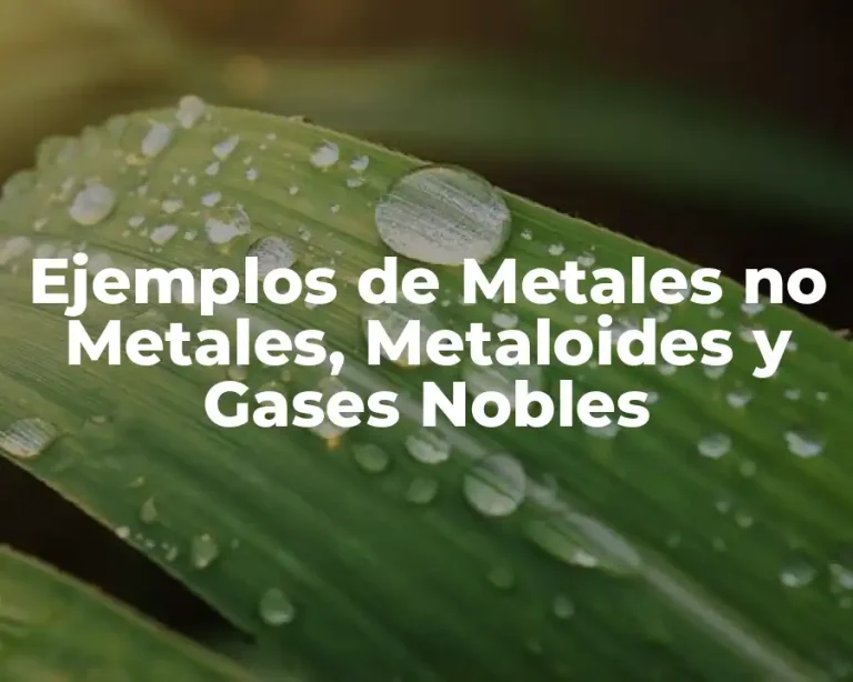 Ejemplos de Metales no Metales, Metaloides y Gases Nobles