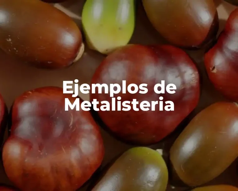 Ejemplos de Metalisteria