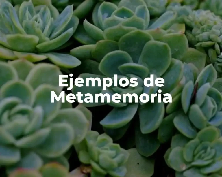 Ejemplos de Metamemoria