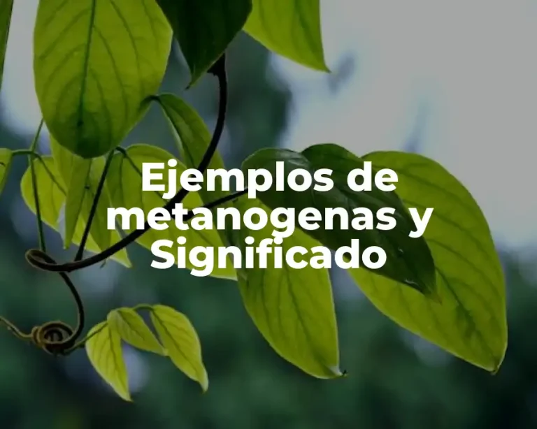 Ejemplos de metanogenas y Significado