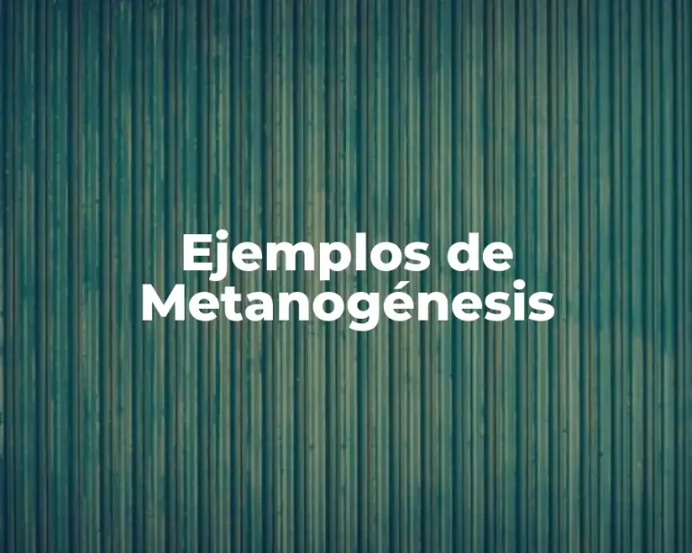 Ejemplos de Metanogénesis